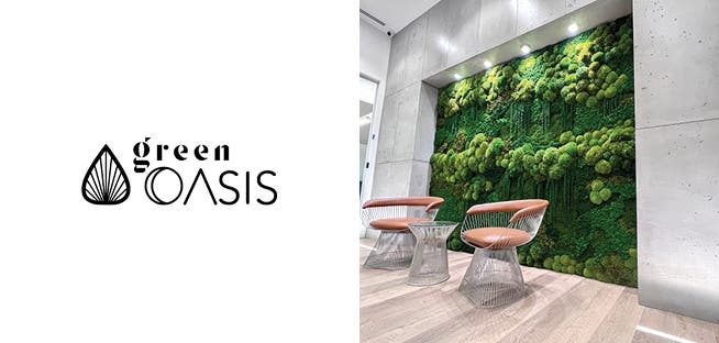 BioMontage Preserved Moss Panel - Shop Green Oasis